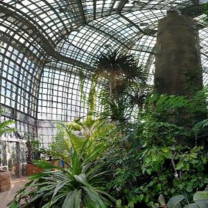 Botanischer Garten Berlin Tropenhalle mit Microsoft ICE erstellt