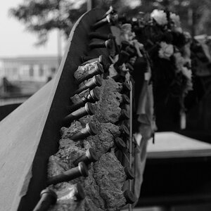09 11 5 DSC 8109