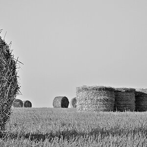 Strohernte auf Zypern SW