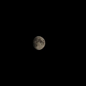 Mond Original
