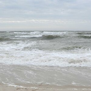 comp Sylt 196