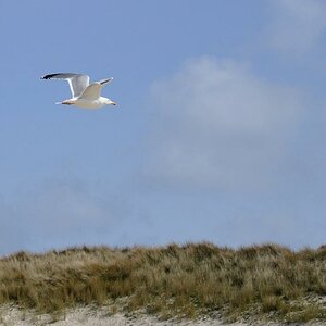 comp Sylt 011