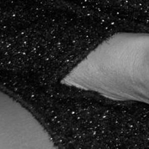 feminin