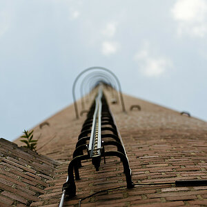 20100821 2 [NIKON D3] 70 mm,1 2500 Sek. bei f   2,8 1