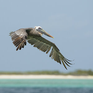 301 1903.nff