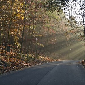 Herbst