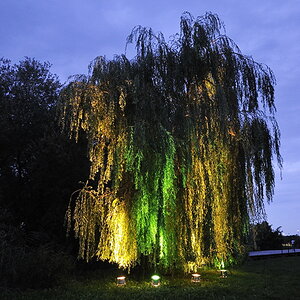 20100821 003 Lichtklangnacht