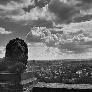 DSC5315 6 9 fused sw NF-F
Neroberg, Blick über Wiesbaden