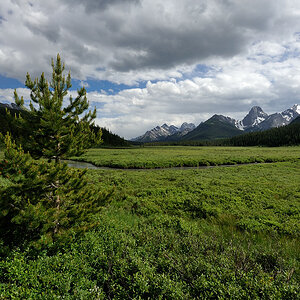 DSC4765 NF-F
Landschaft in den kanadischen Rocky Mountains
südöstlich des Banff NP