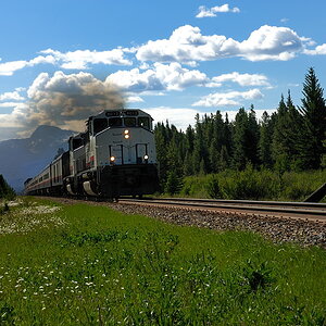 DSC4916 NF-F
Rocky Mountaineer
Banff NP, Kanada