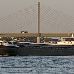 Schiff