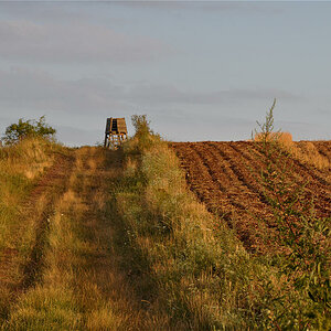 Landschaft