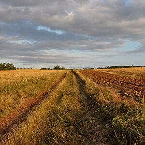Landschaft