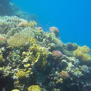 IMG 7879 4