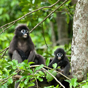 Koh Phangan 8
