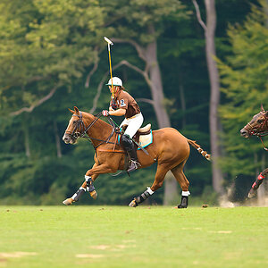 20100801 1382 [NIKON D2Xs],300 mm,1 640 Sek. bei f   2,8