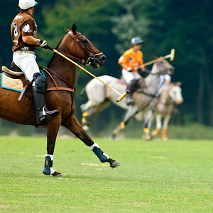 20100801 1450 [NIKON D2Xs],300 mm,1 640 Sek. bei f   4,0