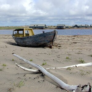 Wrack, Kola Halbinsel, Russland