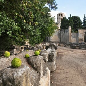 Arles, les Alyscamps