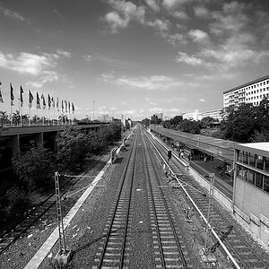 DSC2674