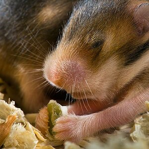 M Weinzierl 93