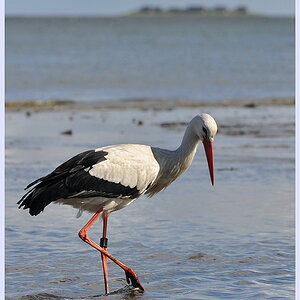 DSC 6146 1