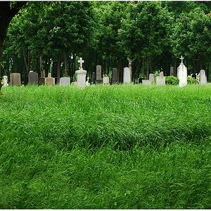 Wiener Zentralfriedhof
