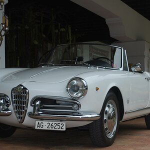 Alfa Giulietta Spider