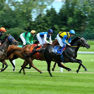 20100815 133208 galopprennen 05