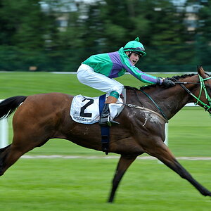 20100815 133410 galopprennen 06