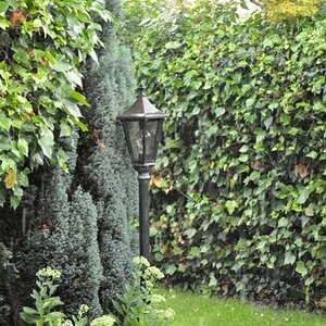 im Garten 1