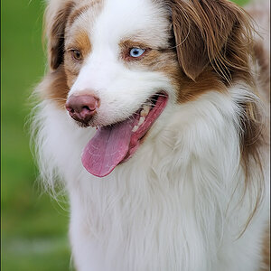 Hund & Familie 2010 09 05 D3S 1361 1a

· http://www.nikon-fotografie.de/vbulletin/showpost.php?p=1393936&postcount=278