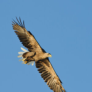 20100831 31542 [NIKON D3] 380 mm,1 640 Sek. bei f   6,3