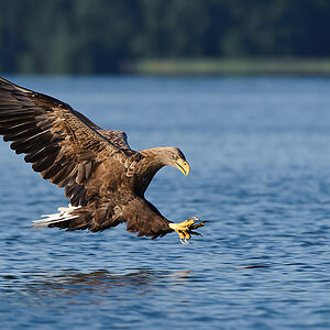 20100831 31665 [NIKON D3] 400 mm,1 800 Sek. bei f   6,3