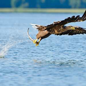 20100831 31666 [NIKON D3] 400 mm,1 1000 Sek. bei f   6,3