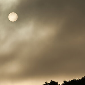 20100901 31773 [NIKON D3] 280 mm,1 1600 Sek. bei f   6,3