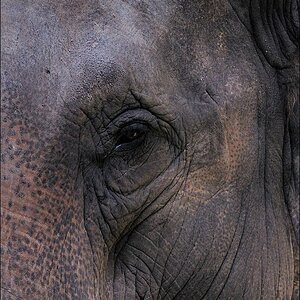 Zoo Emmen 15-08-2010