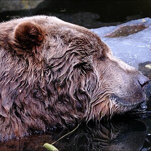 Zoo Emmen 15-08-2010
