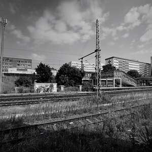 DSC2666.tif