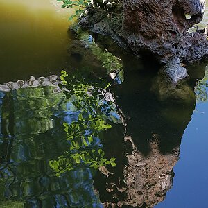 comp DSC 0545