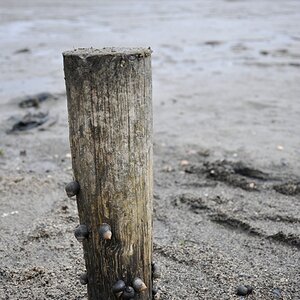 comp Sylt 042