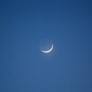 Mond
