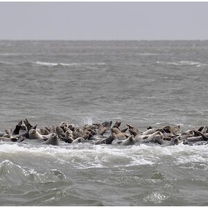 comp Sylt 061