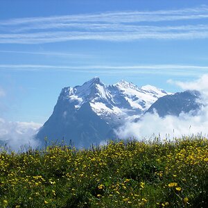Wetterhorn