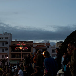 Bi La Gomera 2008 Weihnachtsbaum 1