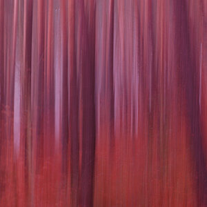 Wald