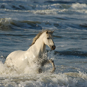 Juist01