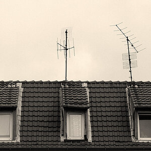 dach