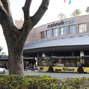 Nikon on the Road