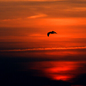 Sonnenuntergang vor Sylt